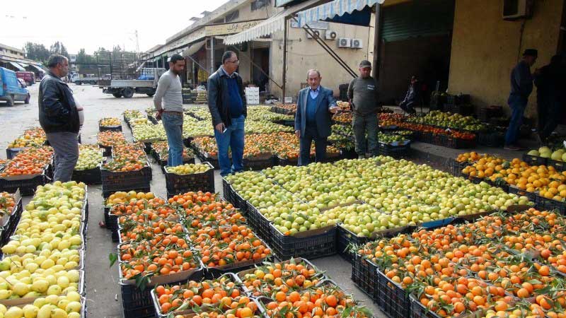 مزارعو الجنوب: للتظاهر الحضاري لحماية إنتاجنا ولقمة عيشنا